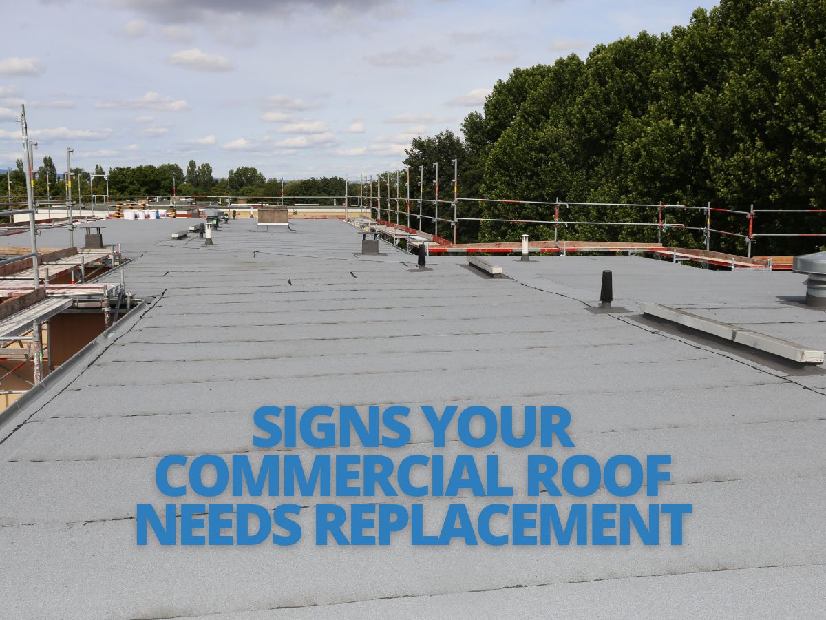 commercial roof replacements